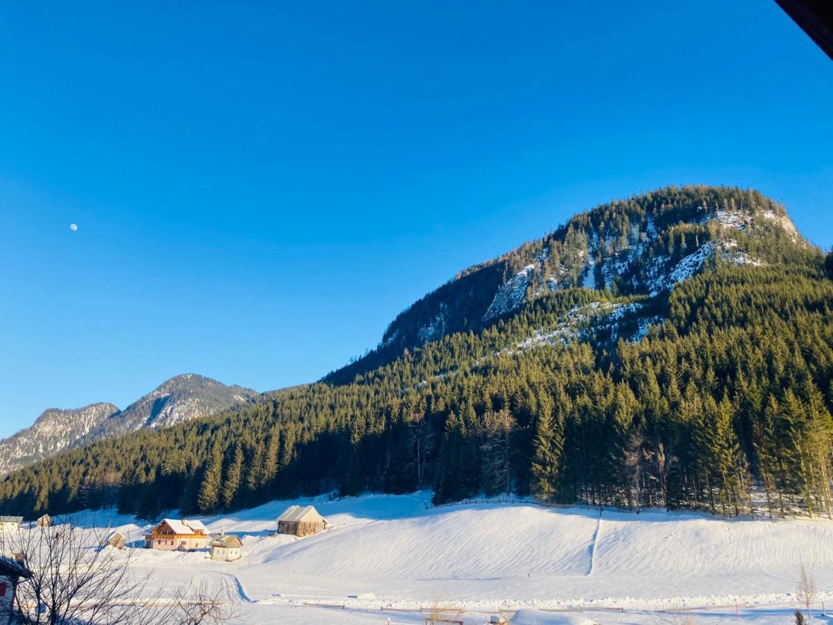 Hallstatt Dachstein Inn Гозау Экстерьер фото