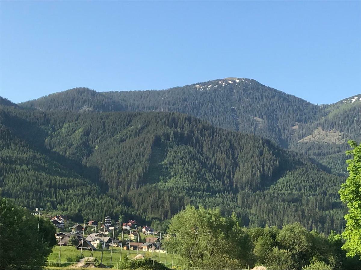 Hallstatt Dachstein Inn Гозау Экстерьер фото